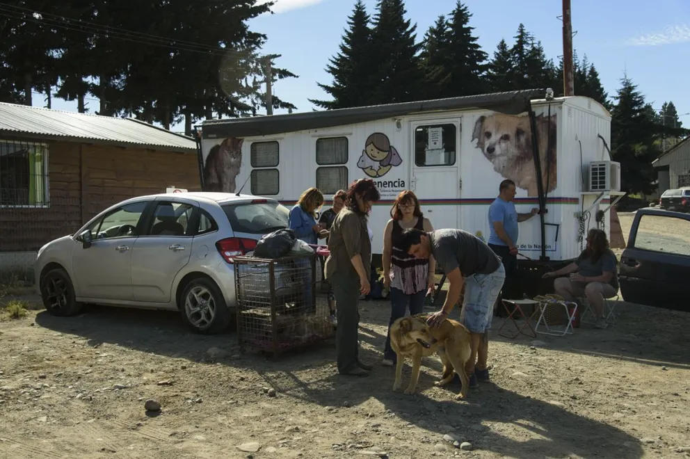 El intendente anunció los cambios que habrá en el área de Sanidad Animal. Foto: Marcelo Martínez