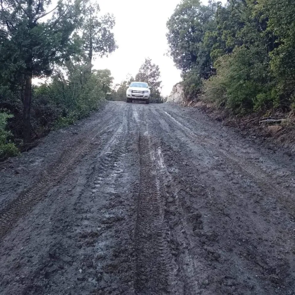 Unicamente permitidos vehículos 4x4, altos y con cadenas. Foto: PNNH