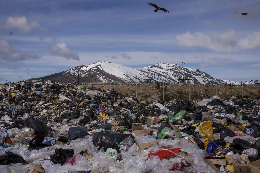 Recicladores comenzaron a juntar alimentos para realizar una olla popular. Foto: Marcelo Martínez