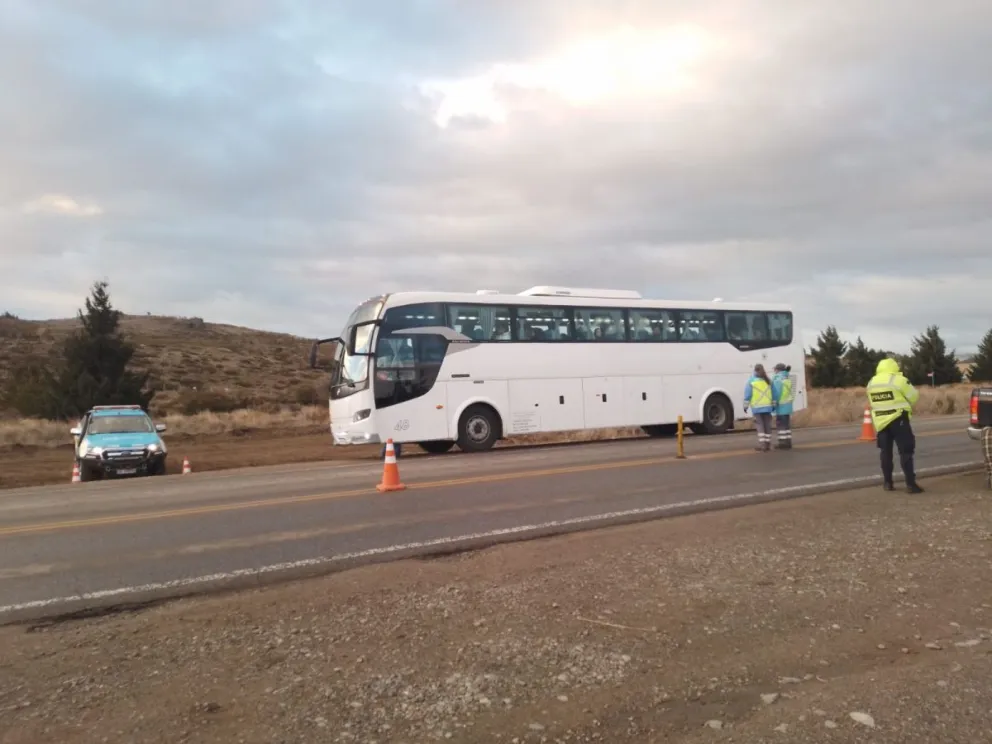 El control se realizó en la ruta 40. Foto: gentileza Policía de Río Negro.
