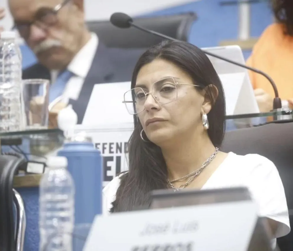 La legisladora Ayelen Spósito expresó su rechazo al proyecto del Gobierno Nacional.