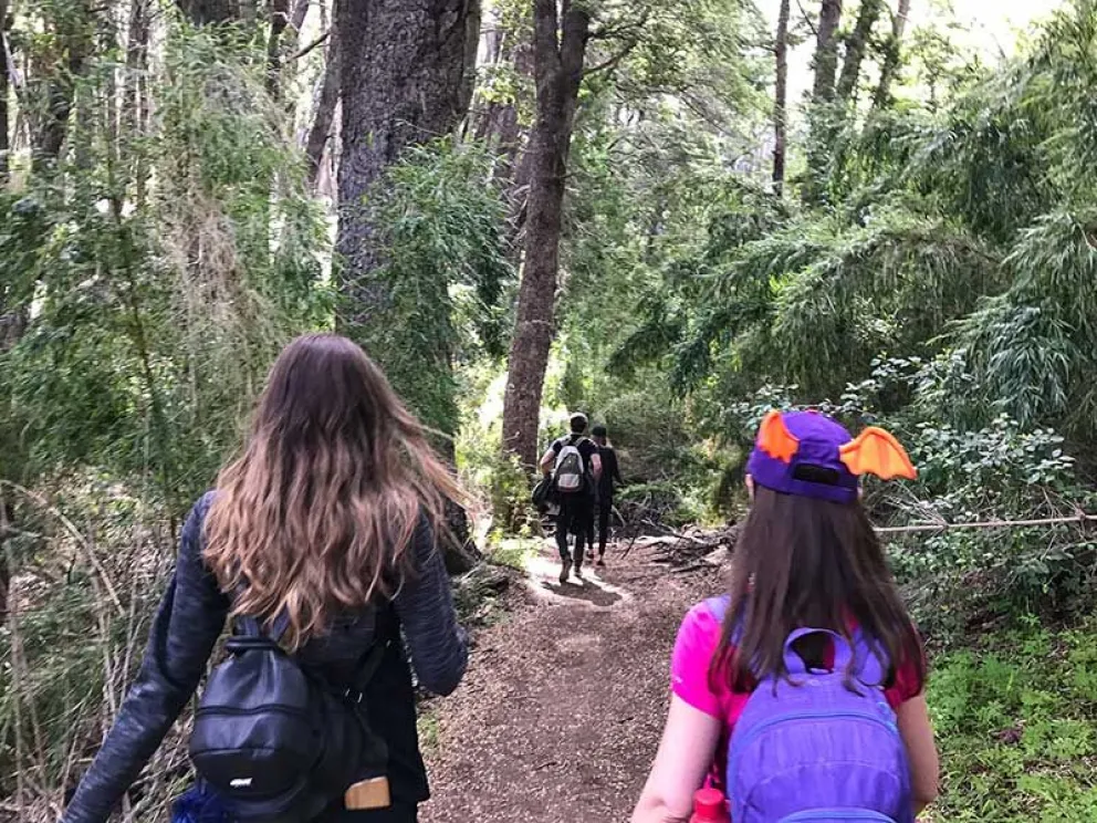Por tarea de apeo de arboles permanecerán cerrados los senderos del área Gutiérrez. Foto: ilustrativa