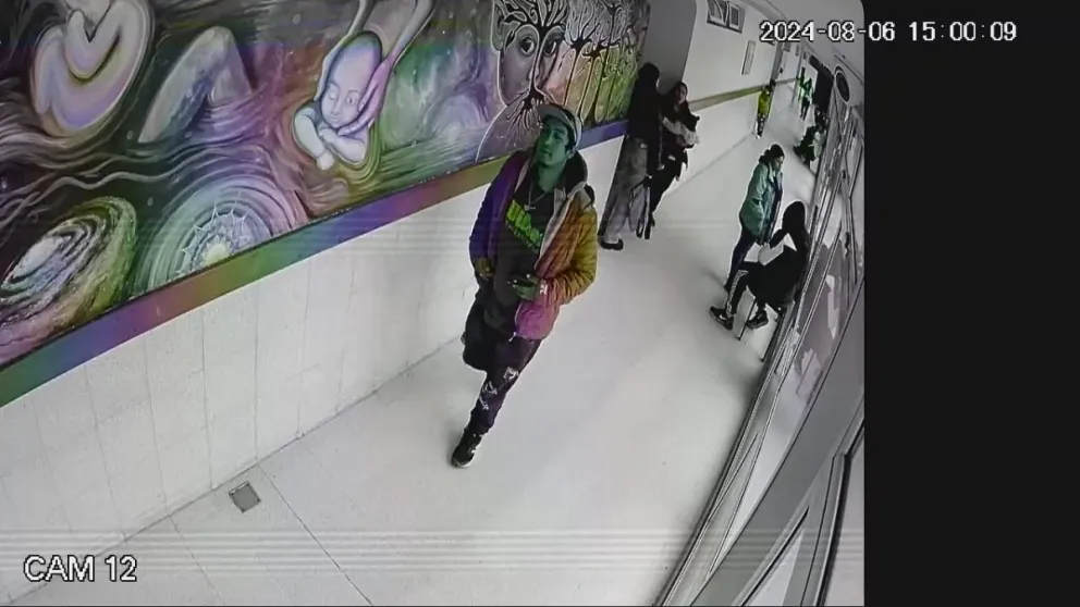 El hecho ocurrió este martes y quedó registrado por las cámaras de seguridad. Fotos: gentileza.