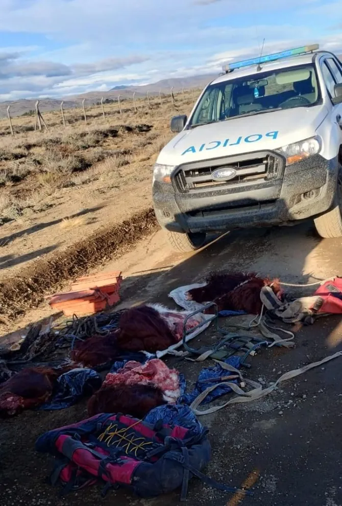 El operativo permitió encontrar el animal faenado y transportado en bolsos y mochilas. Foto: Gentileza Policía de Río Negro.