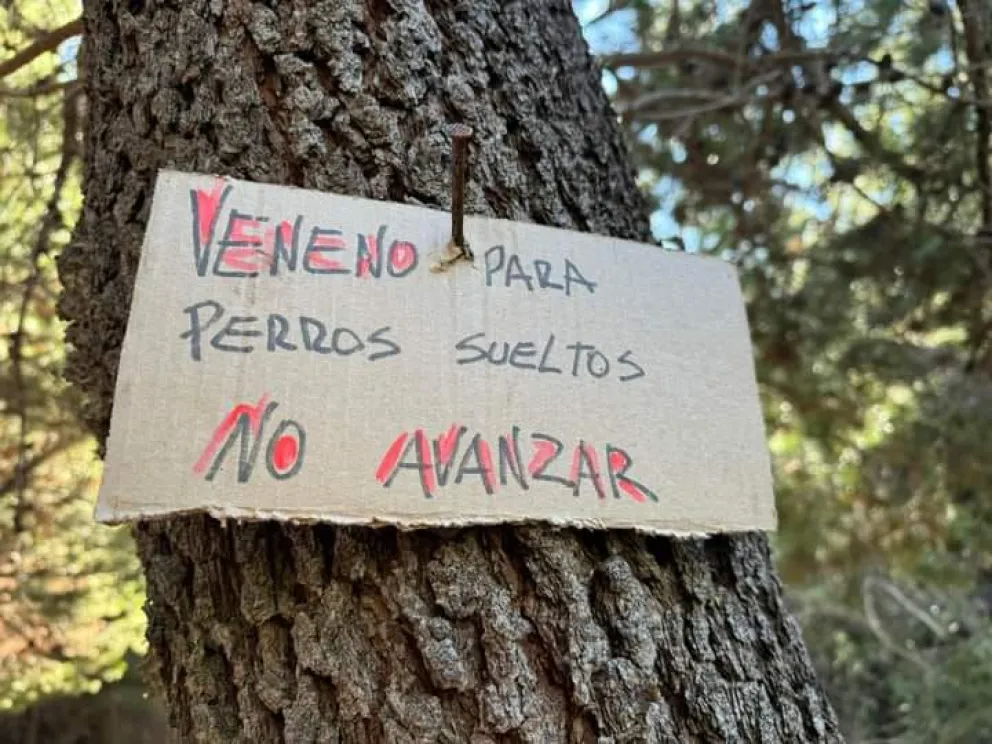 Preocupación entre vecinos de la zona de Villa Lago Gutierrez. Foto: Gentileza