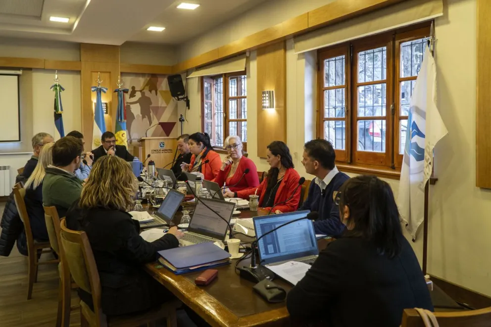 El Concejo Deliberante aprobó el proyecto presentado por Julieta Wallace. Foto: Marcelo Martínez.