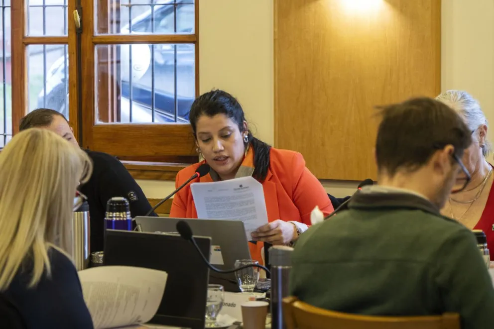 Natalia Almonacid presentó su renuncia y el partido pidió desafectar a Pérez como candidato, por lo que la banca todavía no tiene sucesor definido. Foto: ilustrativa Marcelo Martínez. 