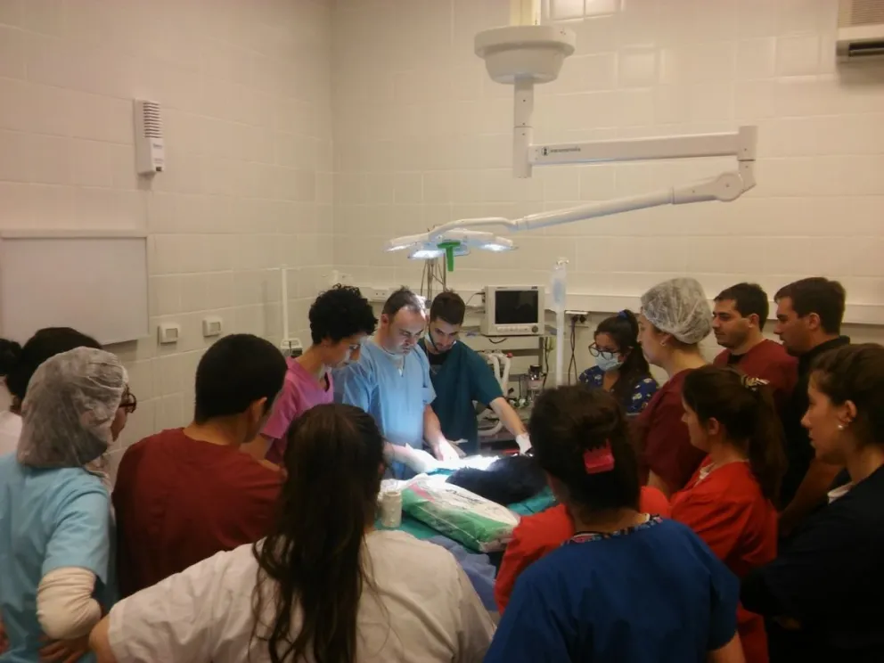 La carrera de Medicina cuenta con un porcentaje de docentes de 1 cada 3 estudiantes. Foto: UNRN.