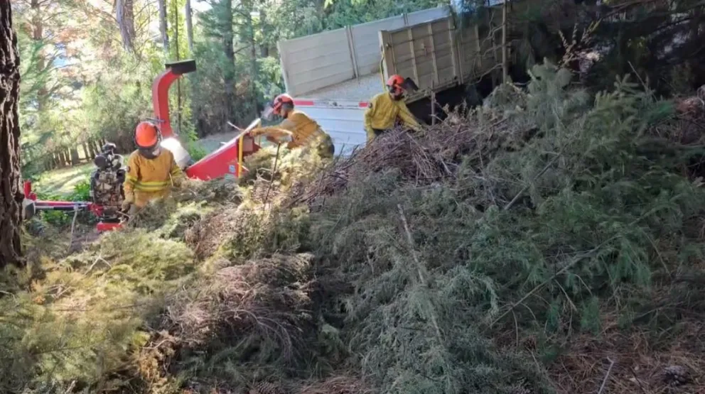 El SPLIF ofrece el chipeo de residuos forestales como un servicio al que pueden acceder vecinas y vecinos. Fotos: gentileza.