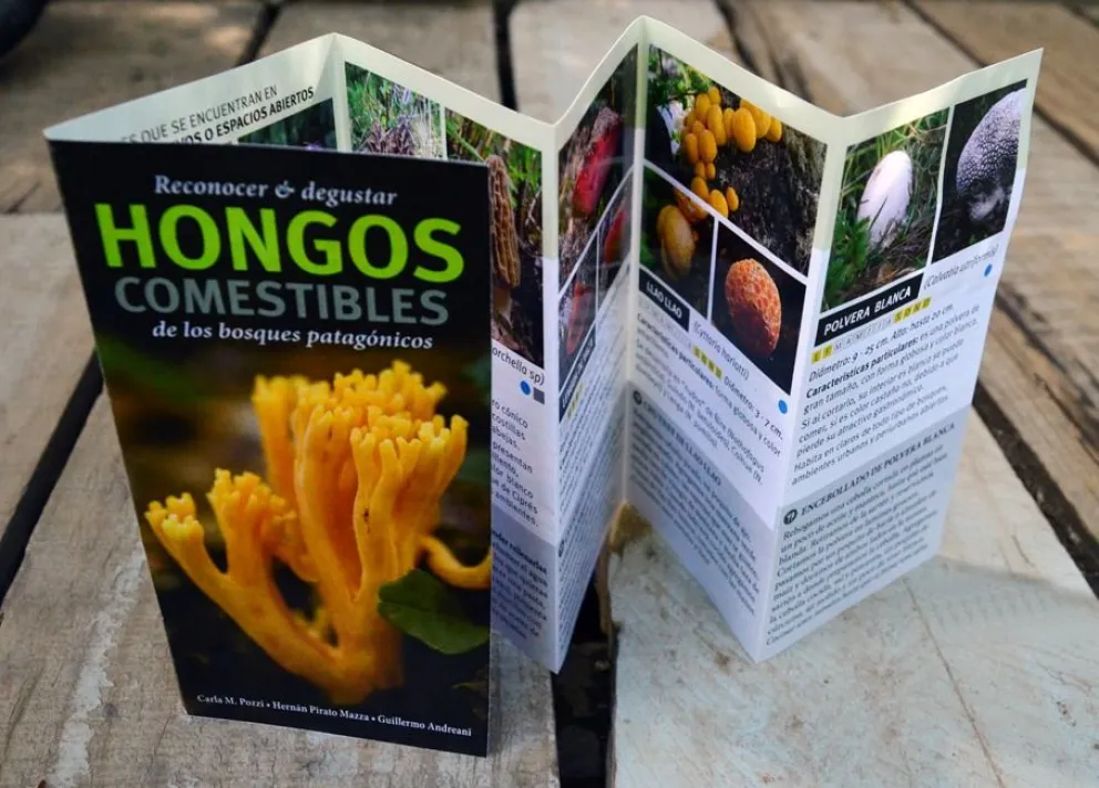 La guía fue elaborada por Carla Pozzi, Guillermo Andreani y Hernán Pirato Mazza. Foto: gentileza.