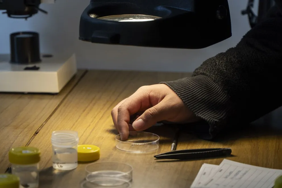 Bariloche tendrá numerosas actividades abiertas al público. Foto: ilustrativa Marcelo Martínez.