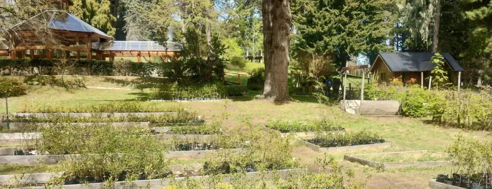 El jardín botánico contiene más de 30 especies nativas. Foto: Gentileza.