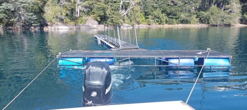 Muelle ilegal en la zona del Brazo Tristeza. Foto: Gentileza PNNH