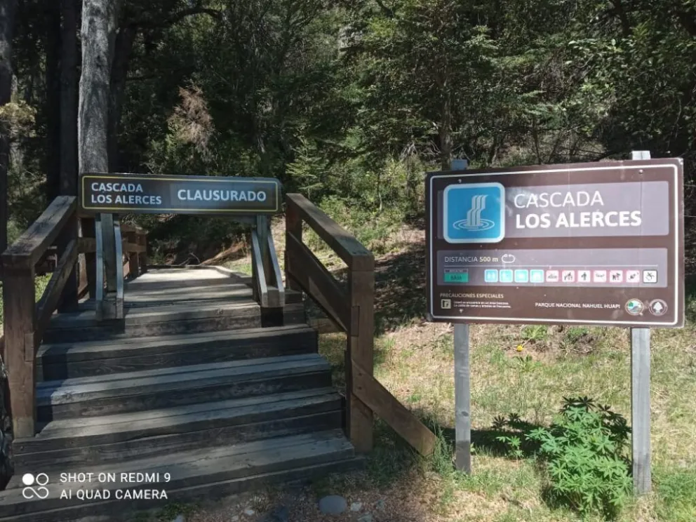 Personal del PNNH se encuentra abocado a la tarea de apeo para la reapertura. Foto: gentileza