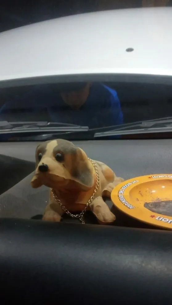 El adorno tiene un valor sentimental muy grande y lo quieren recuperar. Foto: gentileza