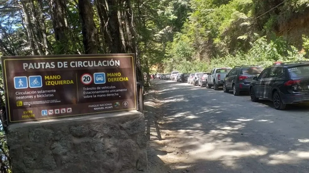 El corte será para realizar tareas de apeo en la zona. Foto: gentileza