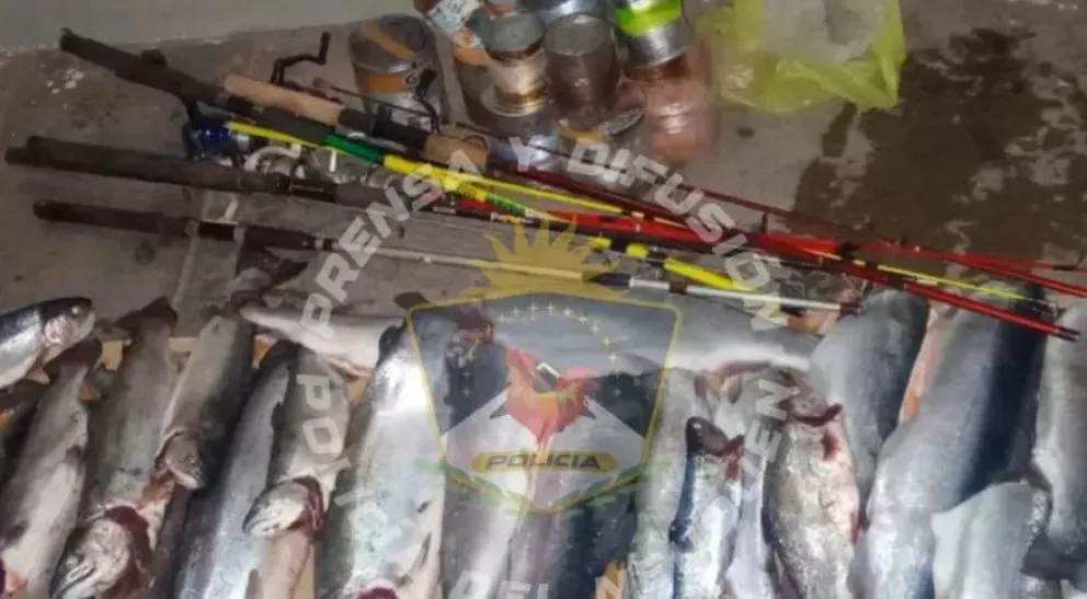 Los furtivos se encontraban pescando en Piedra del Águila, arroyo Collón Cura, arroyo Lima Chico. Foto: Policía de Neuquén.