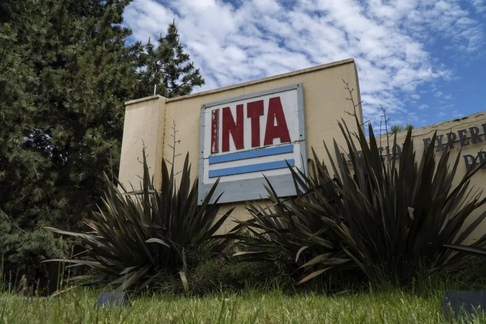 El miércoles habrá una movilización para visibilizar la problemática. Foto: Marcelo Martínez