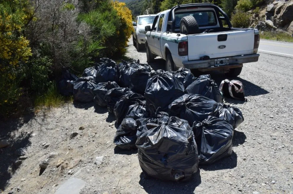 La basura fue recolectada y llevada al vertedero municipal. Foto: gentileza Parque Nacional Nahuel Huapi.