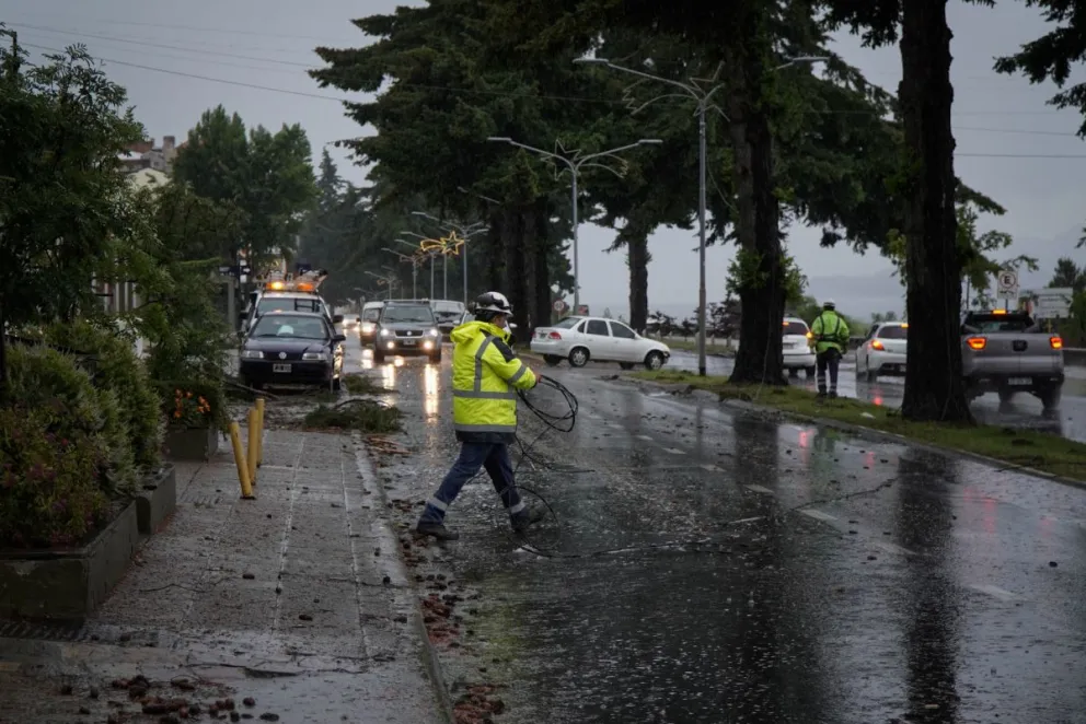 Tormenta en Bariloche: Árboles caídos, cables cortados, sectores sin luz. Foto: Marcelo Martínez