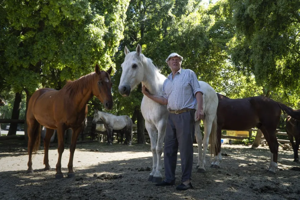 Tom Wesley sigue ligado a los caballos, aunque dice que delegó la empresa familiar a sus hijos. Fotos: Marcelo Martínez.