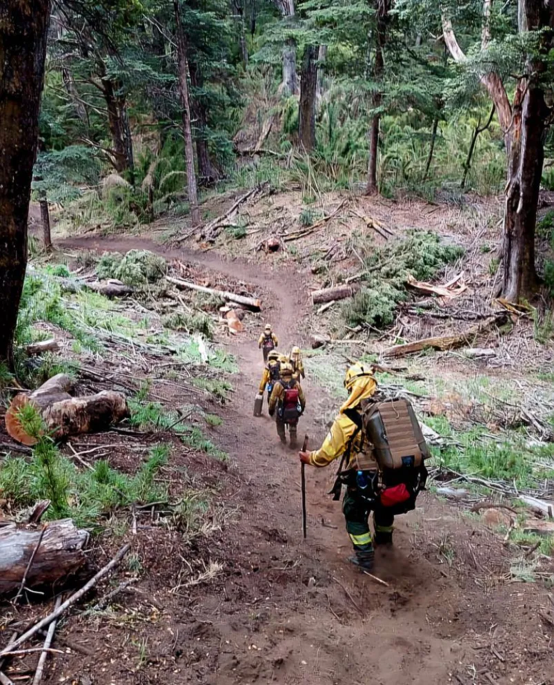 Foto gentileza: Parque Nacional Nahuel Huapi. 