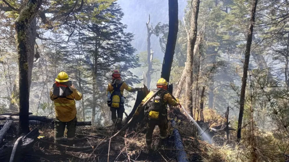 El trabajo de los brigadistas, tanto de Parques Nacionales como del SPLIF, continúa día a día. Fotos: gentileza.