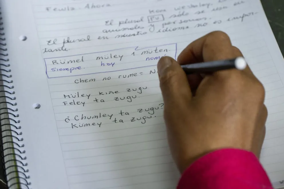 Los talleres tienen una duración de 12 encuentros, una vez por semana. Foto: ilustrativa Marcelo Martínez.