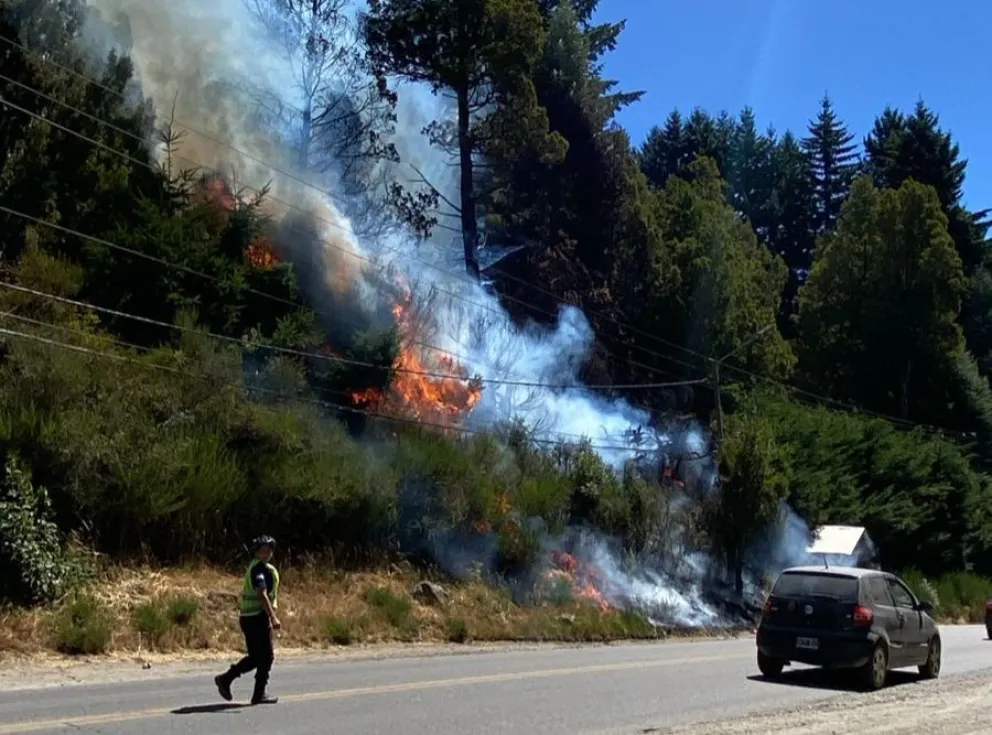 El foco incendiario se habría activado alrededor de las 15 horas. Foto: ANB.