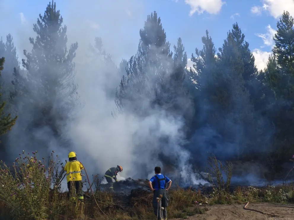 Las autoridades fueron advertidas por una camioneta que fue vista de manera sospechosa. Fotos: ANB