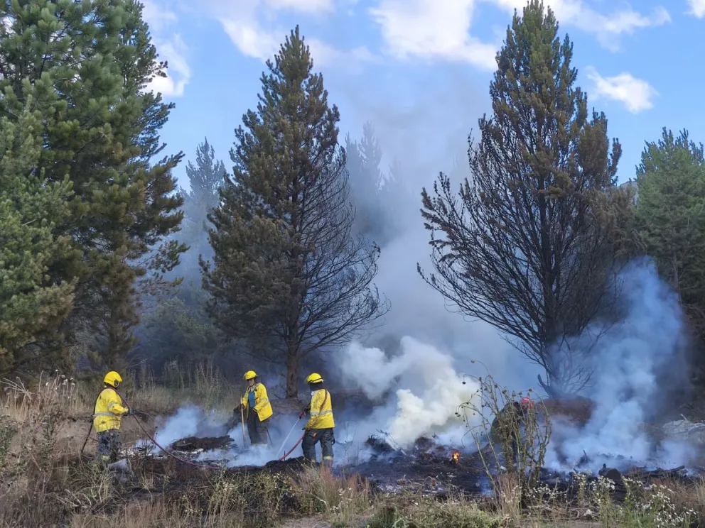 Las autoridades contarían con algunos elementos probatorios para dar con los responsables de los incendios. Foto: ANB.