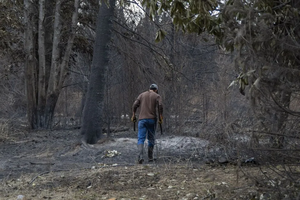 Las imágenes de la tierra devastada por el incendio. Fotos: Marcelo Martínez.