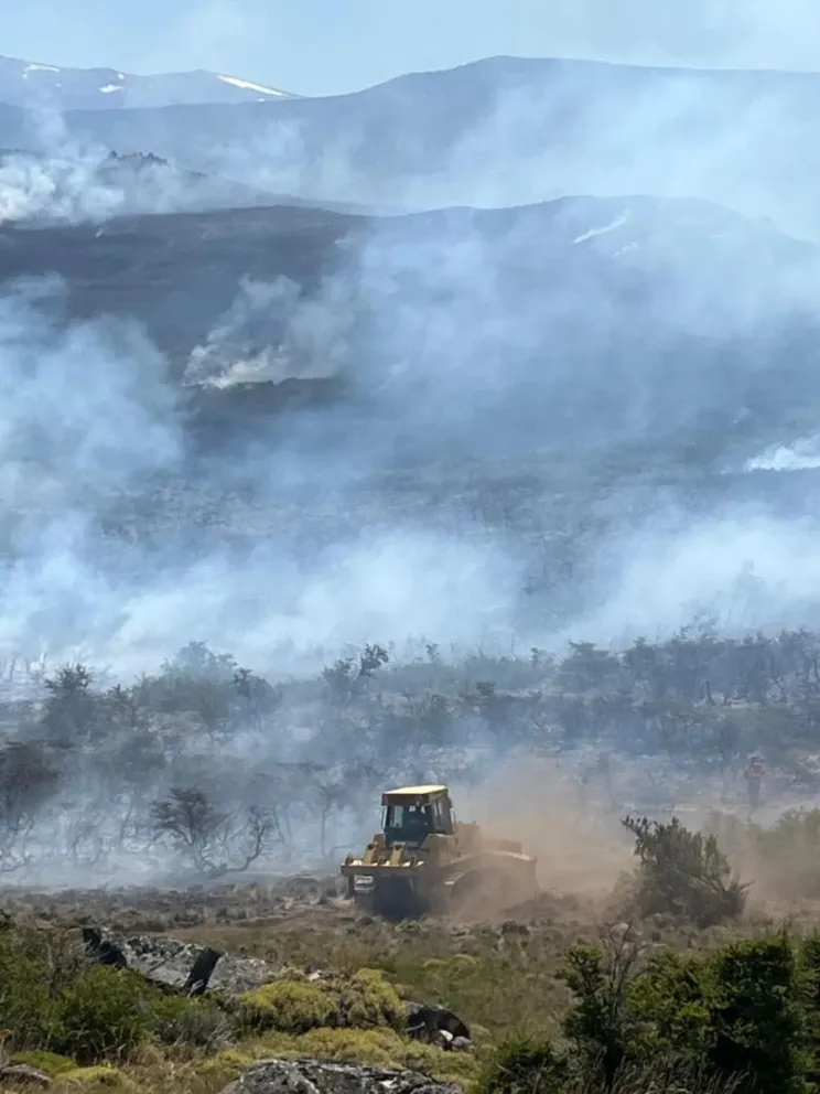 El incendio en El Pedregoso consumió cerca de 40 hectáreas de bosque. Foto: Gentileza.