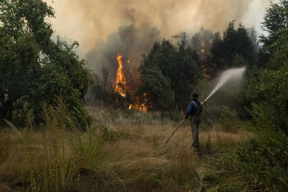 Presentaron proyecto de ley para crear una comisión legislativa que investigue los incendios. Foto: Marcelo Martínez