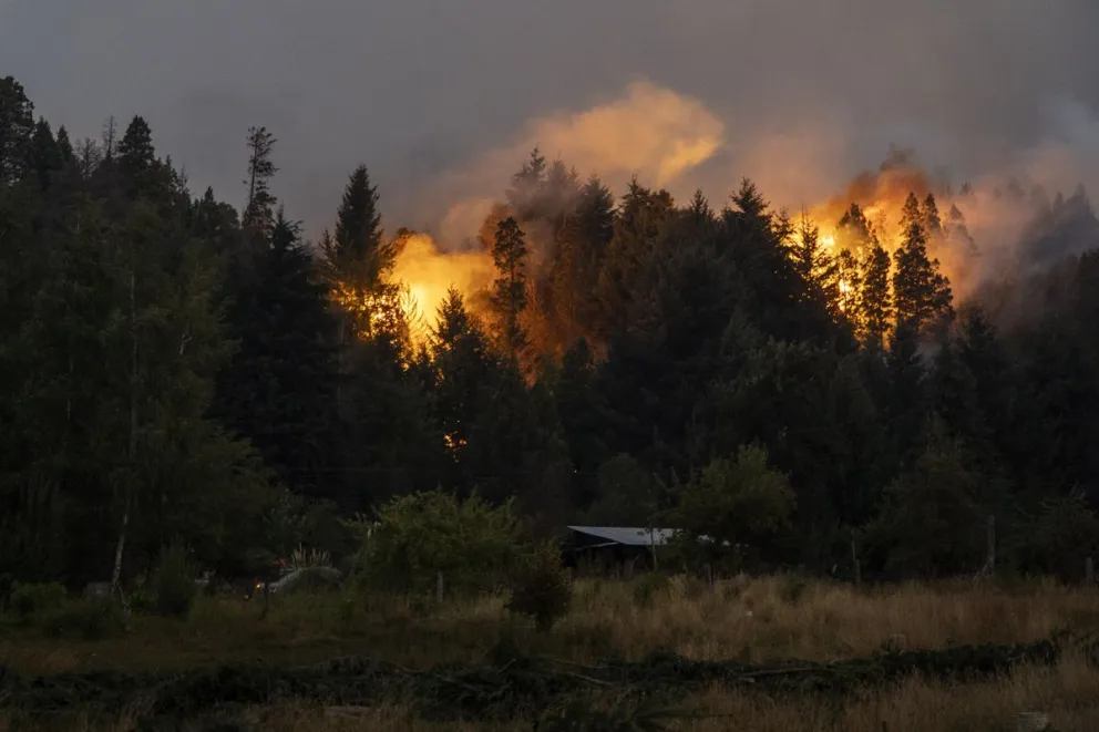 Néstor Vidal analiza los llamados "incendios de sexta generación". Foto: archivo Marcelo Martínez.