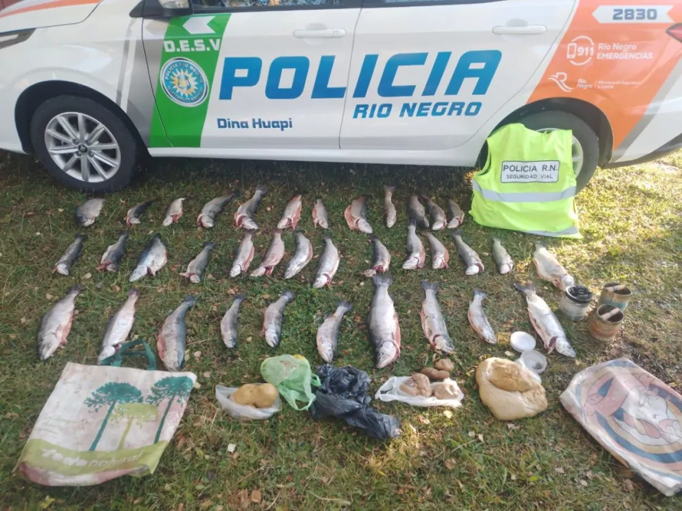 El operativo se realizó en Dina Huapi. Foto: Policía de Río Negro.