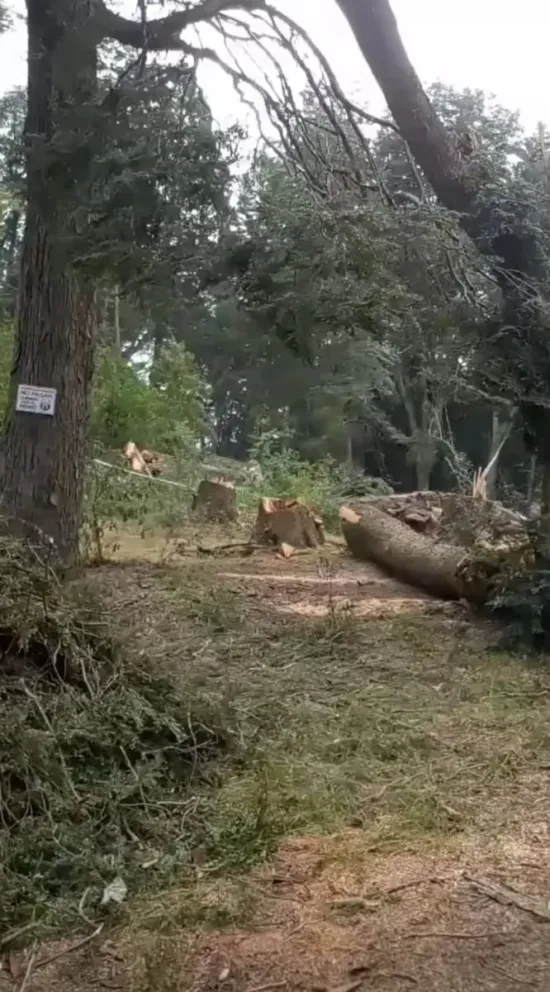 Desde la Municipalidad aseguran que existe licencia para la construcción en la reserva natural urbana. Foto: Gentileza.