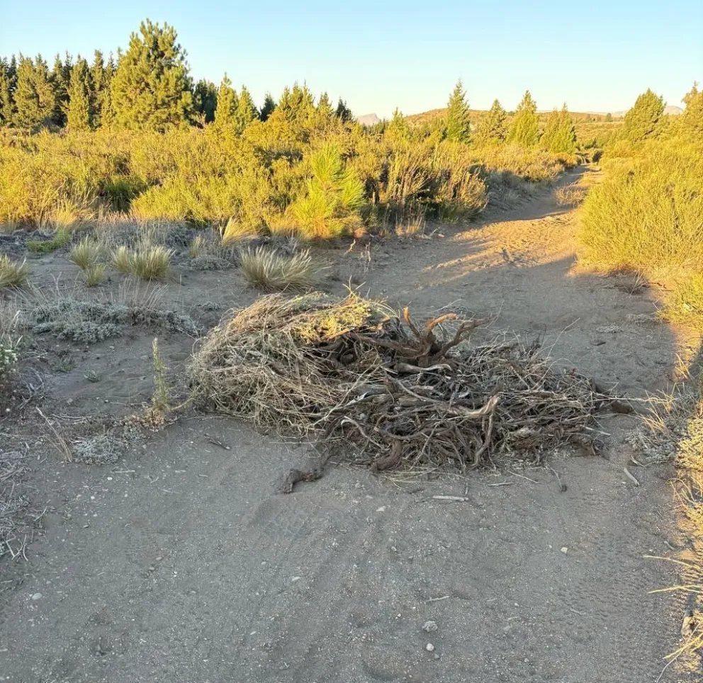 Los montículos estaban ubicados en distintos puntos de un descampado que une los barrios. Foto: gentileza
