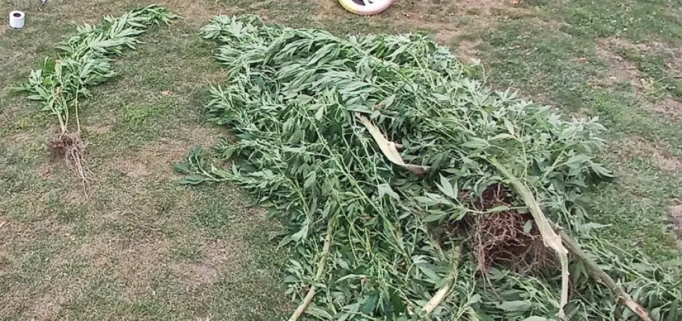 El allanamiento se realizó el lunes.Foto: Policía de Río Negro.