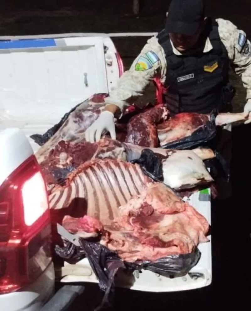 El operativo fue realizado en la ruta provincial 80 el domingo por la noche. Foto: gentileza.