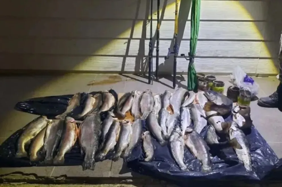 La carne decomisada fue donada a instituciones. 