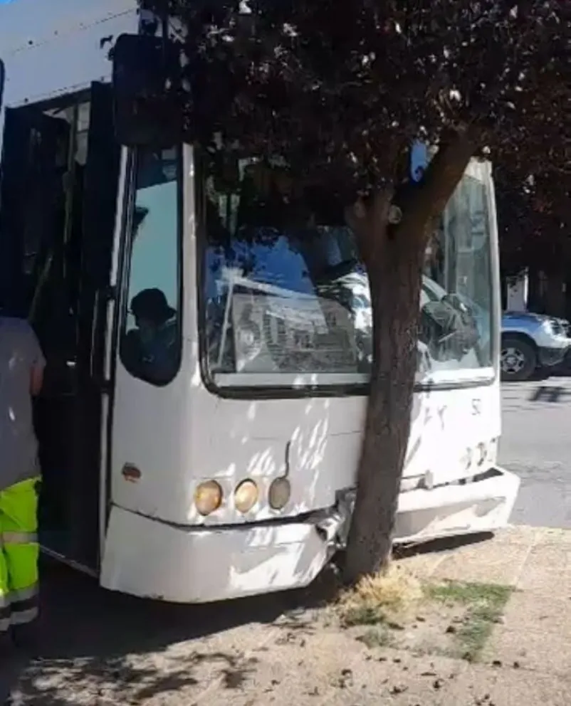 El accidente ocurrió este viernes cerca de las 15 horas. Foto: gentileza