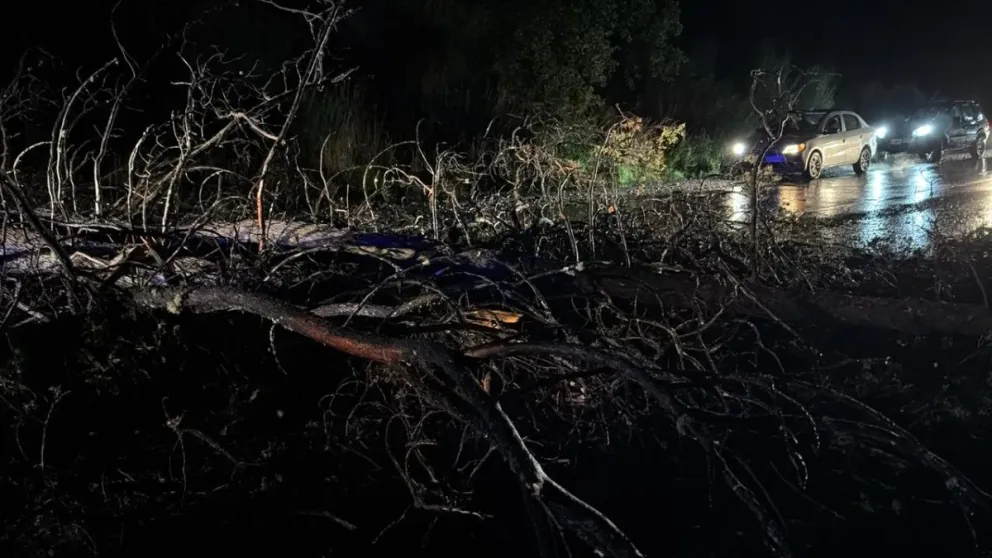 Para las próximas 48 horas rige alerta amarilla por lluvias y nevadas para la región cordillerana. 