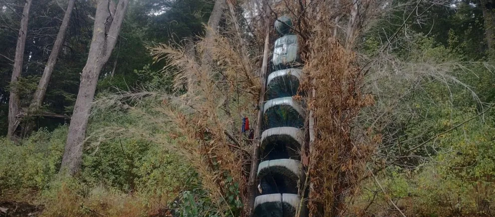 Esta semana comienzan los alegatos de clausura en el jucio de "Usurpación por despojo". Fotos: Nahuel Céspedes.