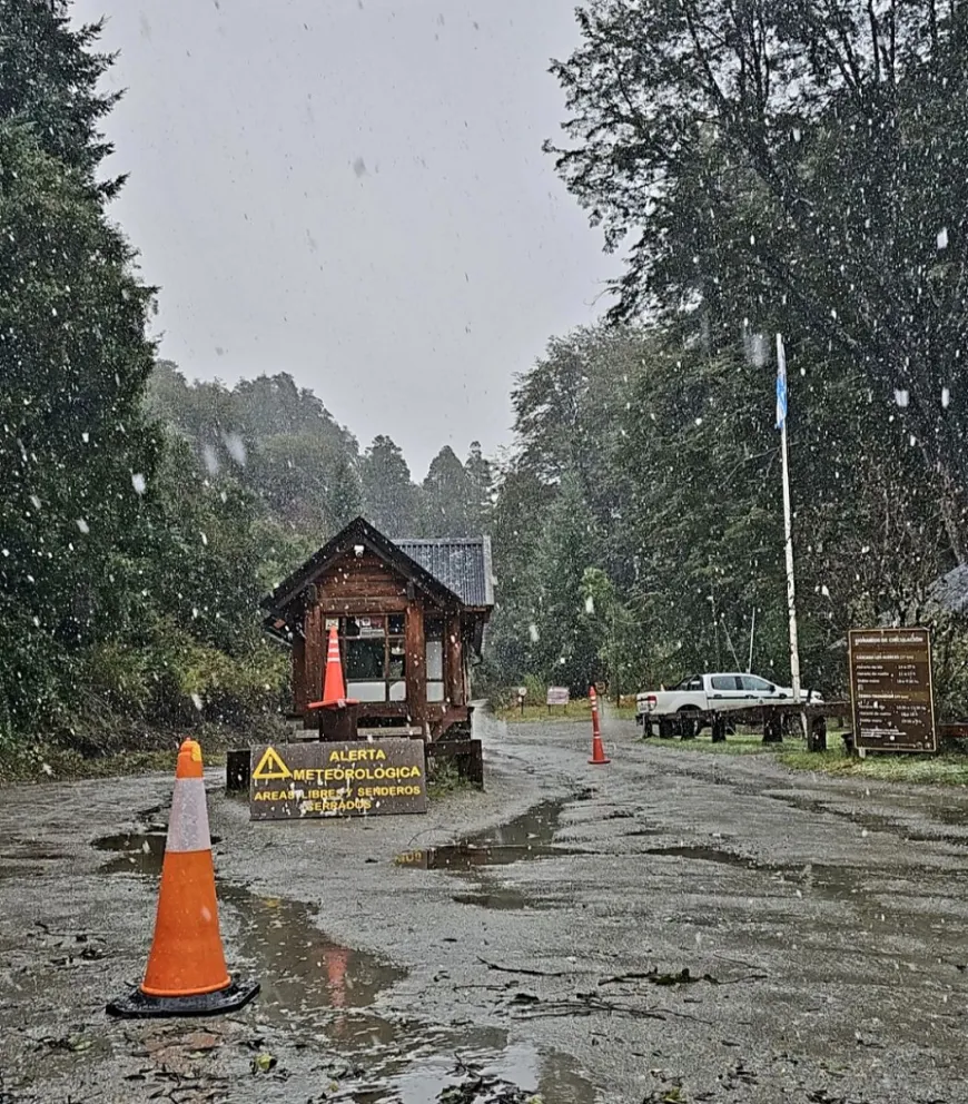 En las zonas altas comenzó a nevar este sábado al mediodía. Foto: gentileza.