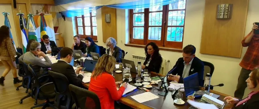Los ediles que votaron a favor de la reforma del estatuto no argumentaron su decisión en la sesión. 