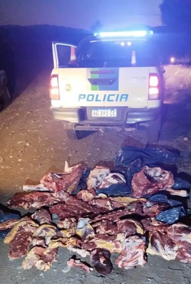 El infractor no contaba con la documentación sobre la faena de los ejemplares. Foto: Prensa Policía de Río Negro.