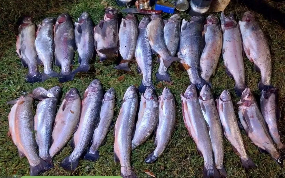 El operativo se realizó en conjunto con personal de Parques Nacionales en la zona aledaña a Villa La Angostura. Foto: Policía de Neuquén.