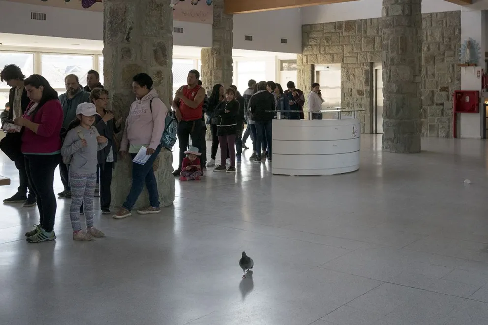 El Gobierno envió cartas documento a más de 100 obras sociales que operan en la provincia. Foto: Archivo Marcelo Martínez.