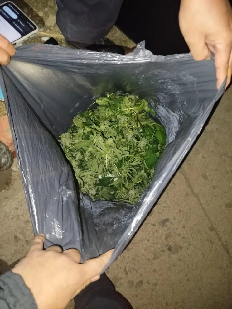 El hombre llevaba hojas de cannabis en una bolsa y un televisor. Foto gentileza: Policia RN.